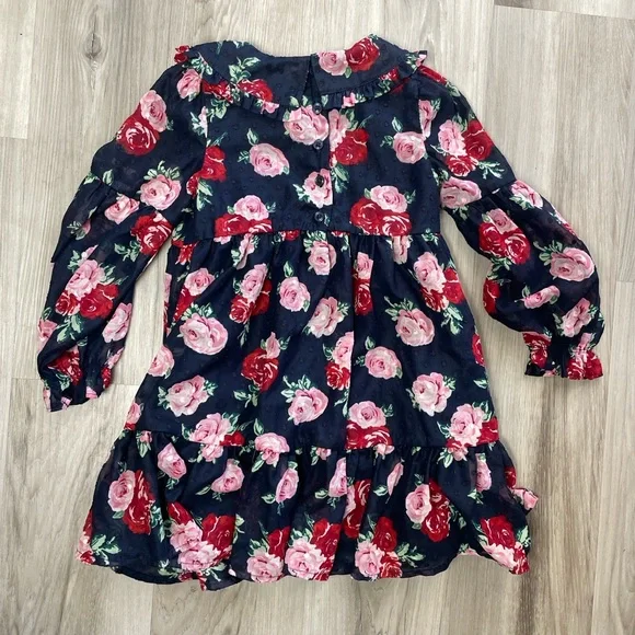 Janie & Jack Girls Floral Long Sleeve Rose Ruffle Dress Size 4 - Picture 7 of 9